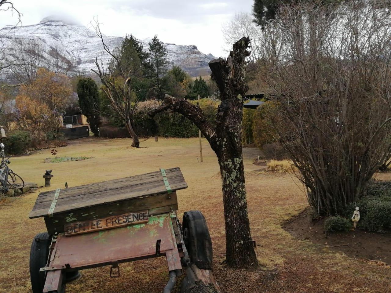 קלרנס Gentle Presence Cottages מראה חיצוני תמונה