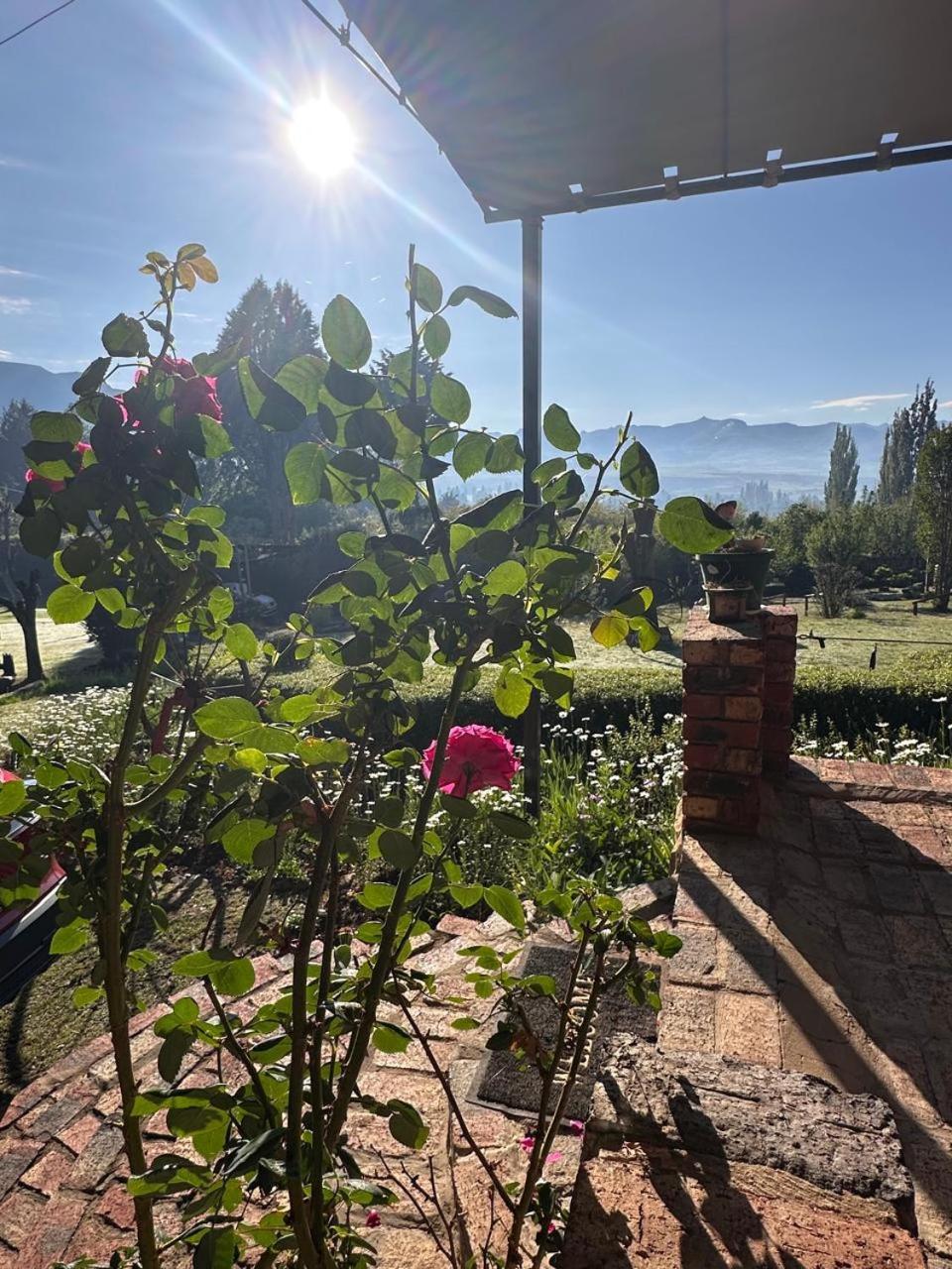 קלרנס Gentle Presence Cottages מראה חיצוני תמונה